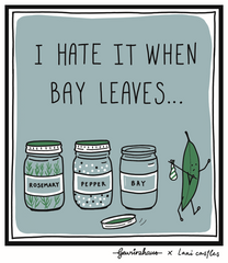 I Hate it when Bay Leaves Dishcloth